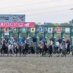 2025 Pennsylvania Derby at a Glance 